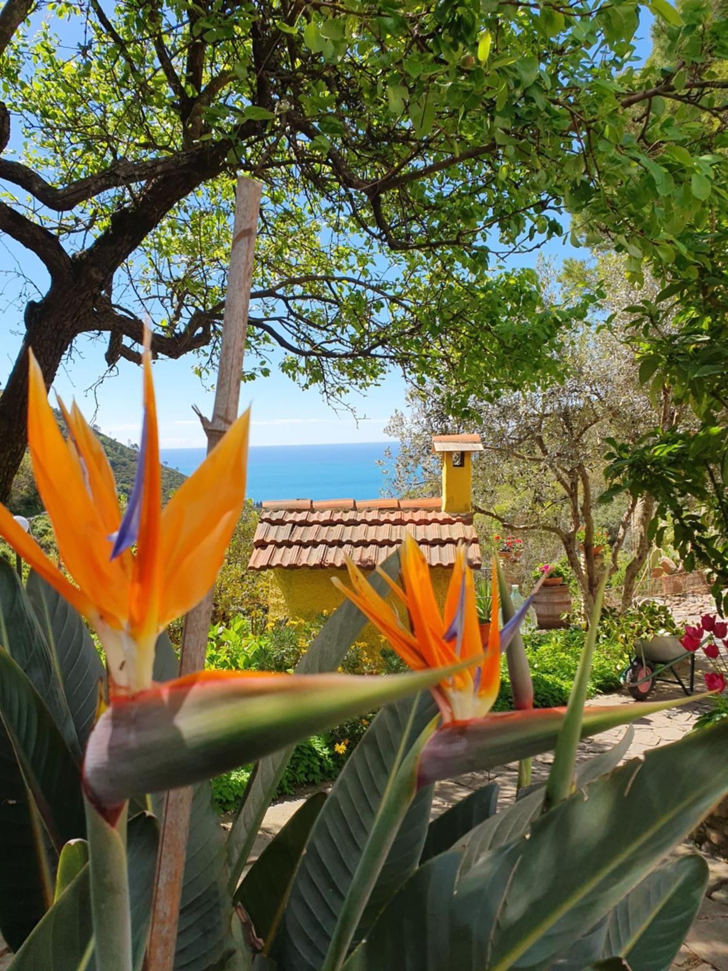 Agriturismo Costa Di Campo เวอนาซซา ภายนอก รูปภาพ