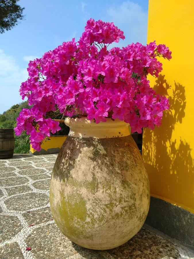 Agriturismo Costa Di Campo เวอนาซซา ภายนอก รูปภาพ