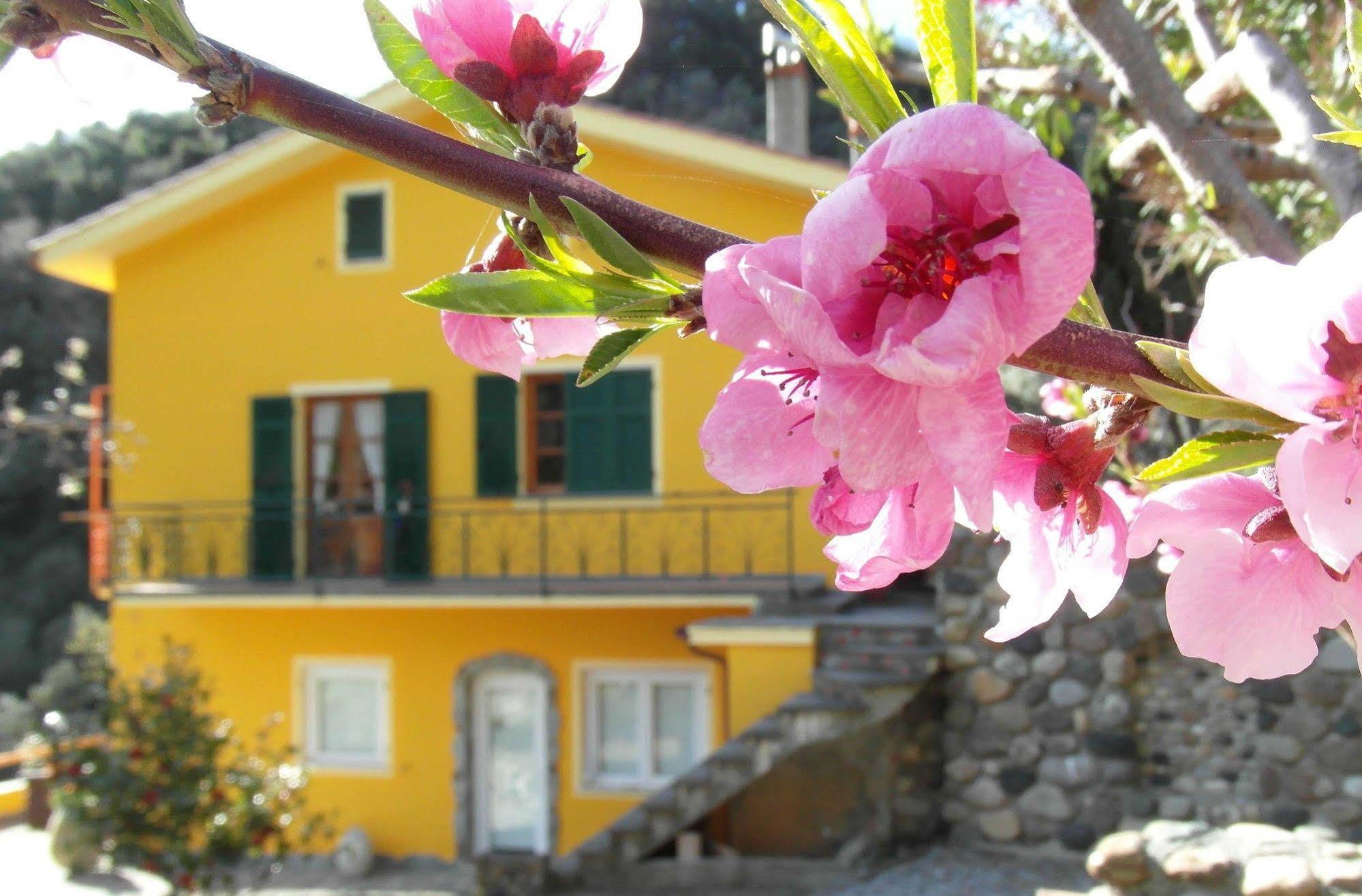 Agriturismo Costa Di Campo เวอนาซซา ภายนอก รูปภาพ