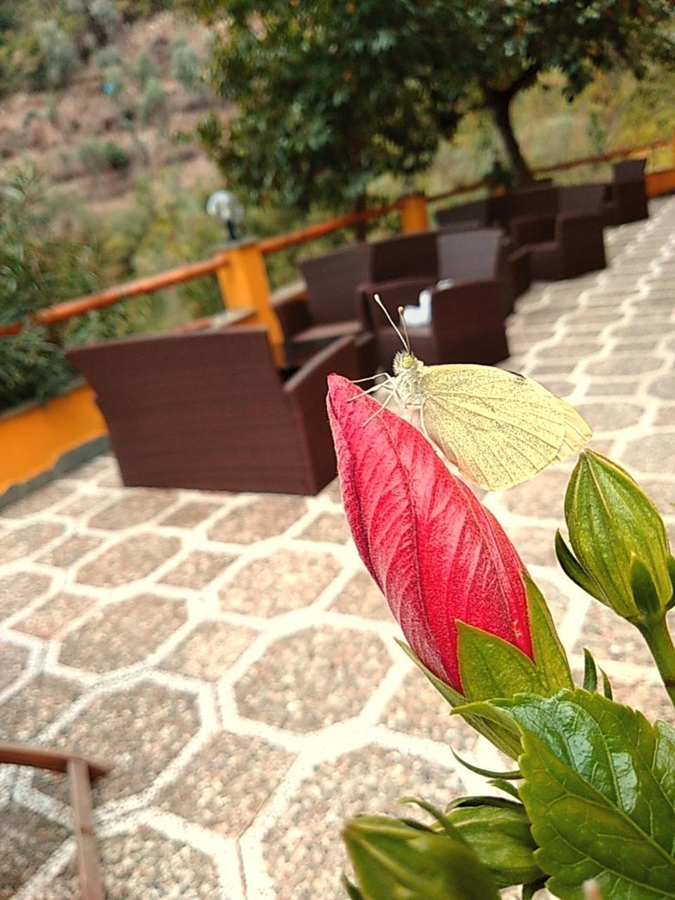 Agriturismo Costa Di Campo เวอนาซซา ภายนอก รูปภาพ