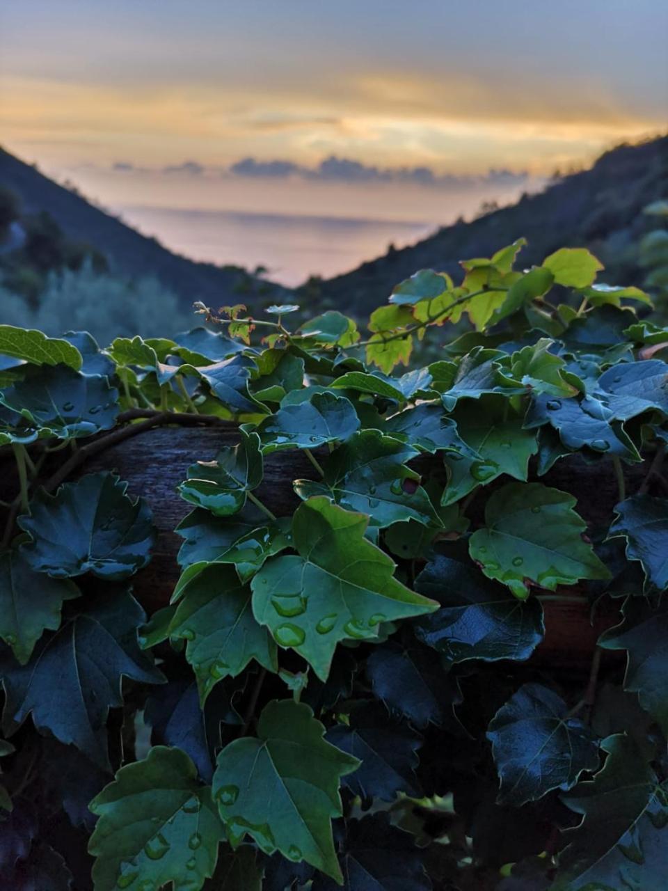 Agriturismo Costa Di Campo เวอนาซซา ภายนอก รูปภาพ