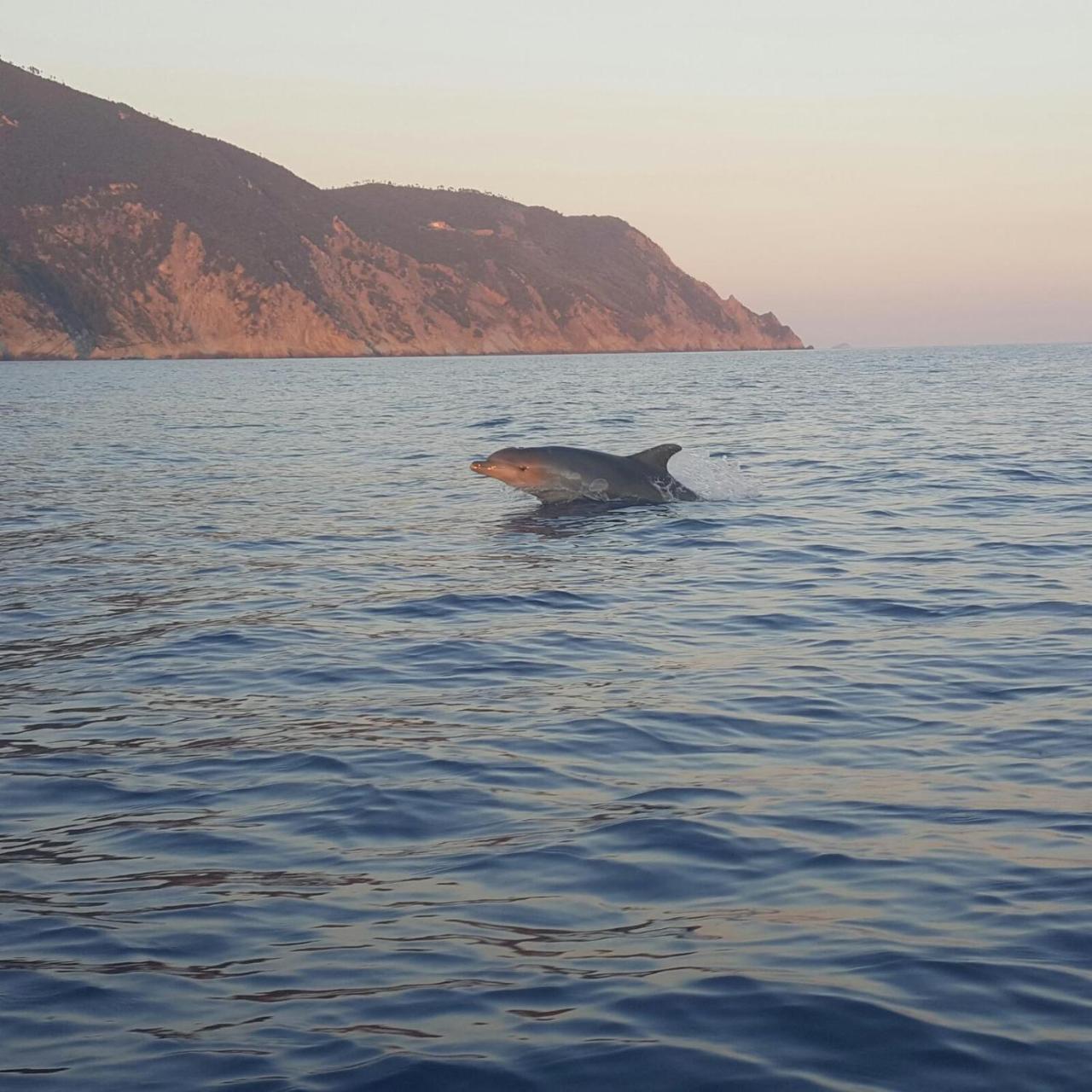 Agriturismo Costa Di Campo เวอนาซซา ภายนอก รูปภาพ