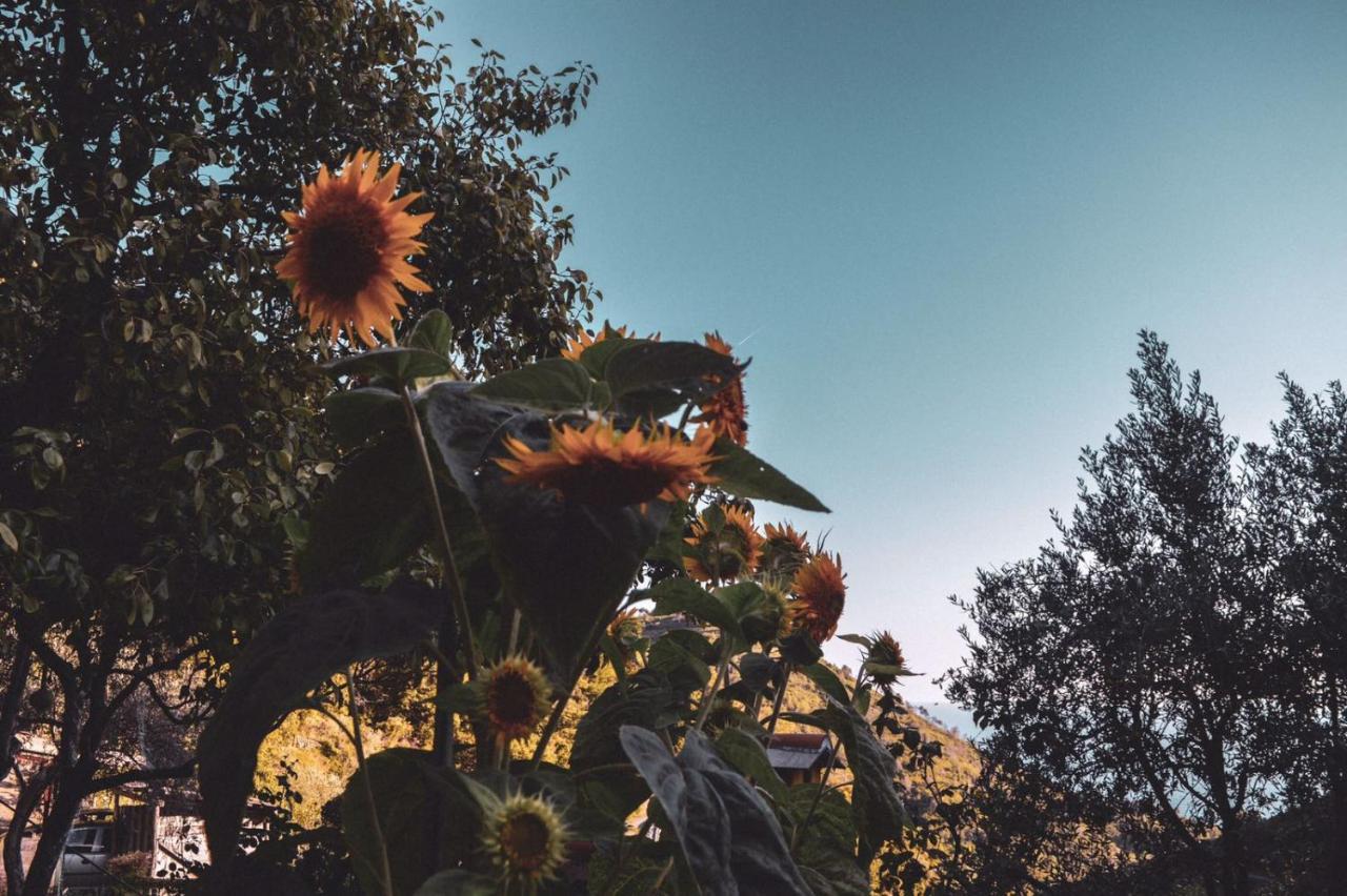 Agriturismo Costa Di Campo เวอนาซซา ภายนอก รูปภาพ
