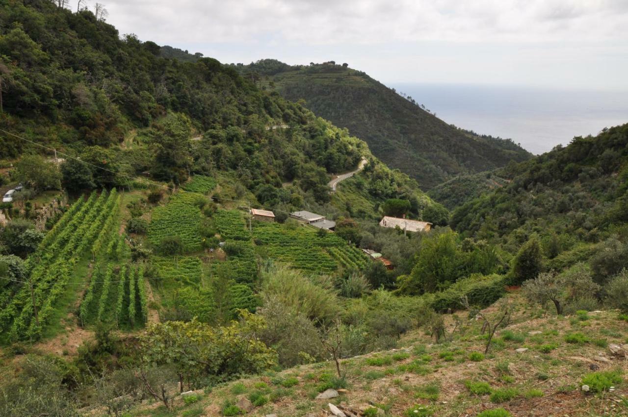 Agriturismo Costa Di Campo เวอนาซซา ภายนอก รูปภาพ
